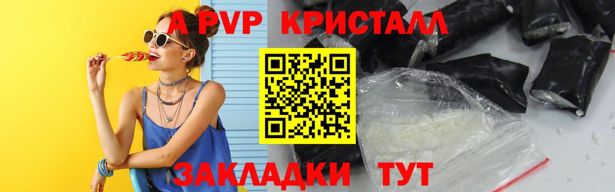 Альфа ПВП СК КРИС Сыктывкар