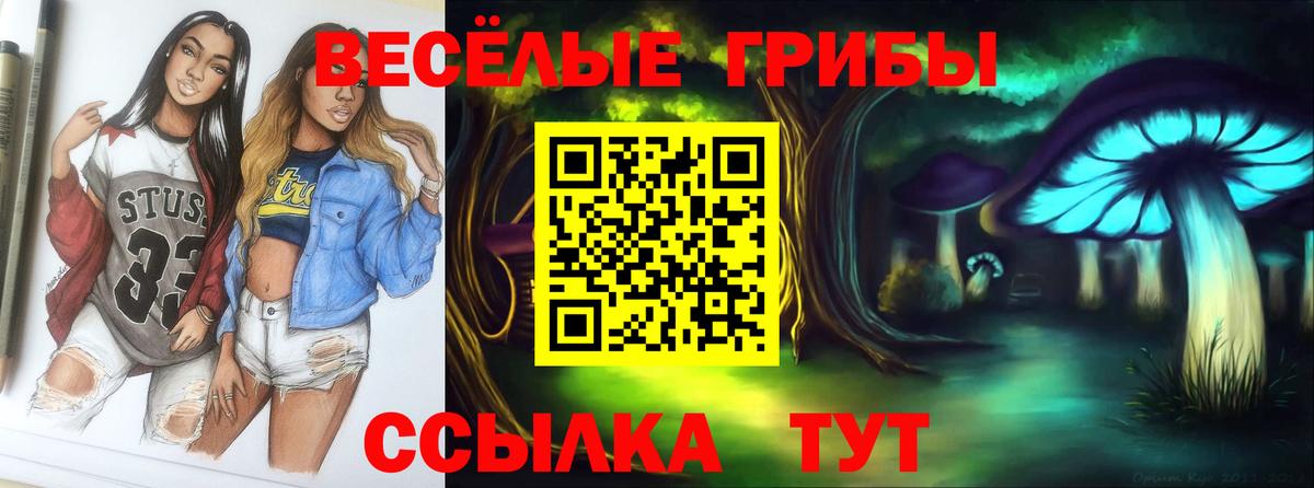 Галлюциногенные грибы прущие грибы Сыктывкар